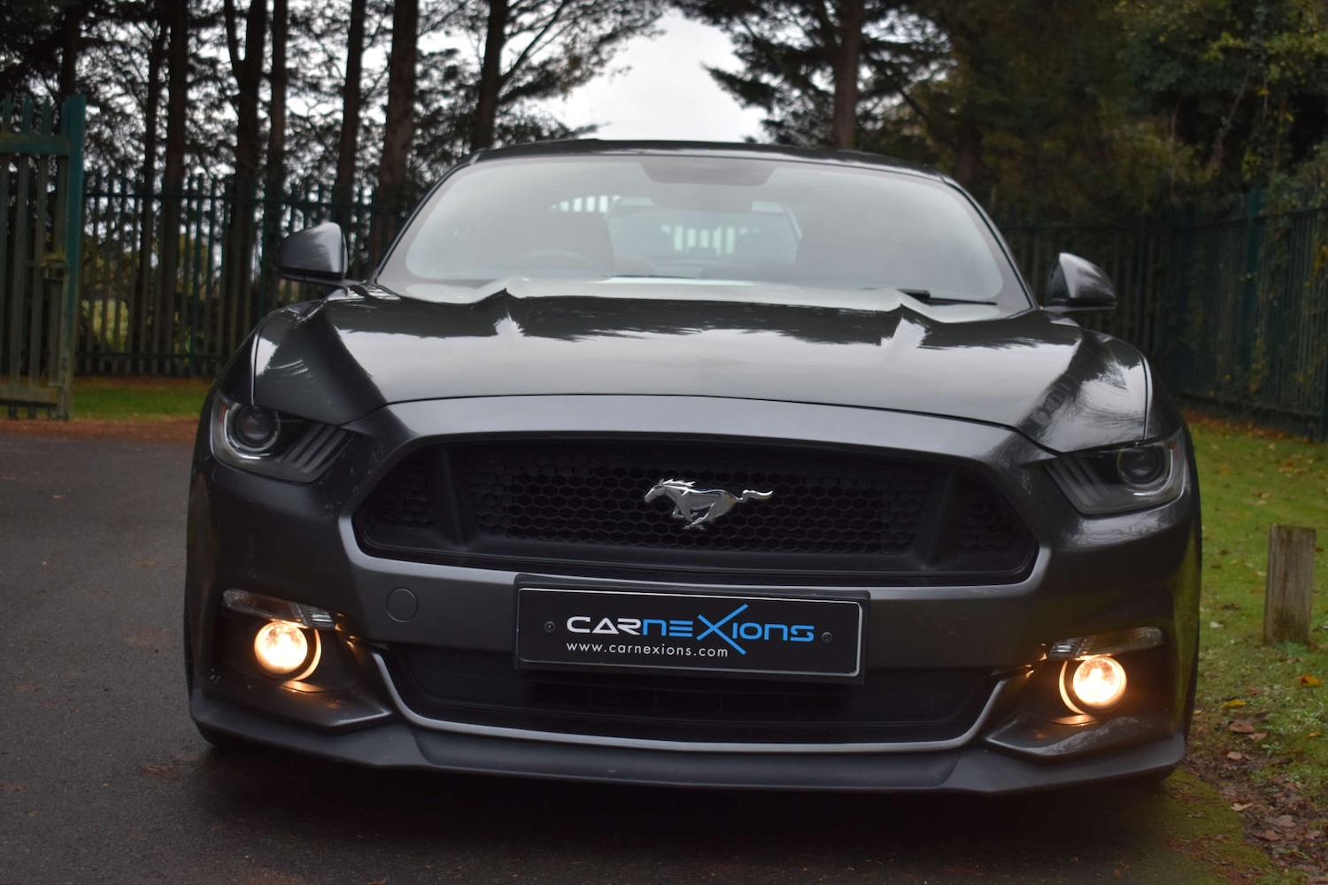 Used Ford Mustang 2015 for sale - 77037056: Photo 26