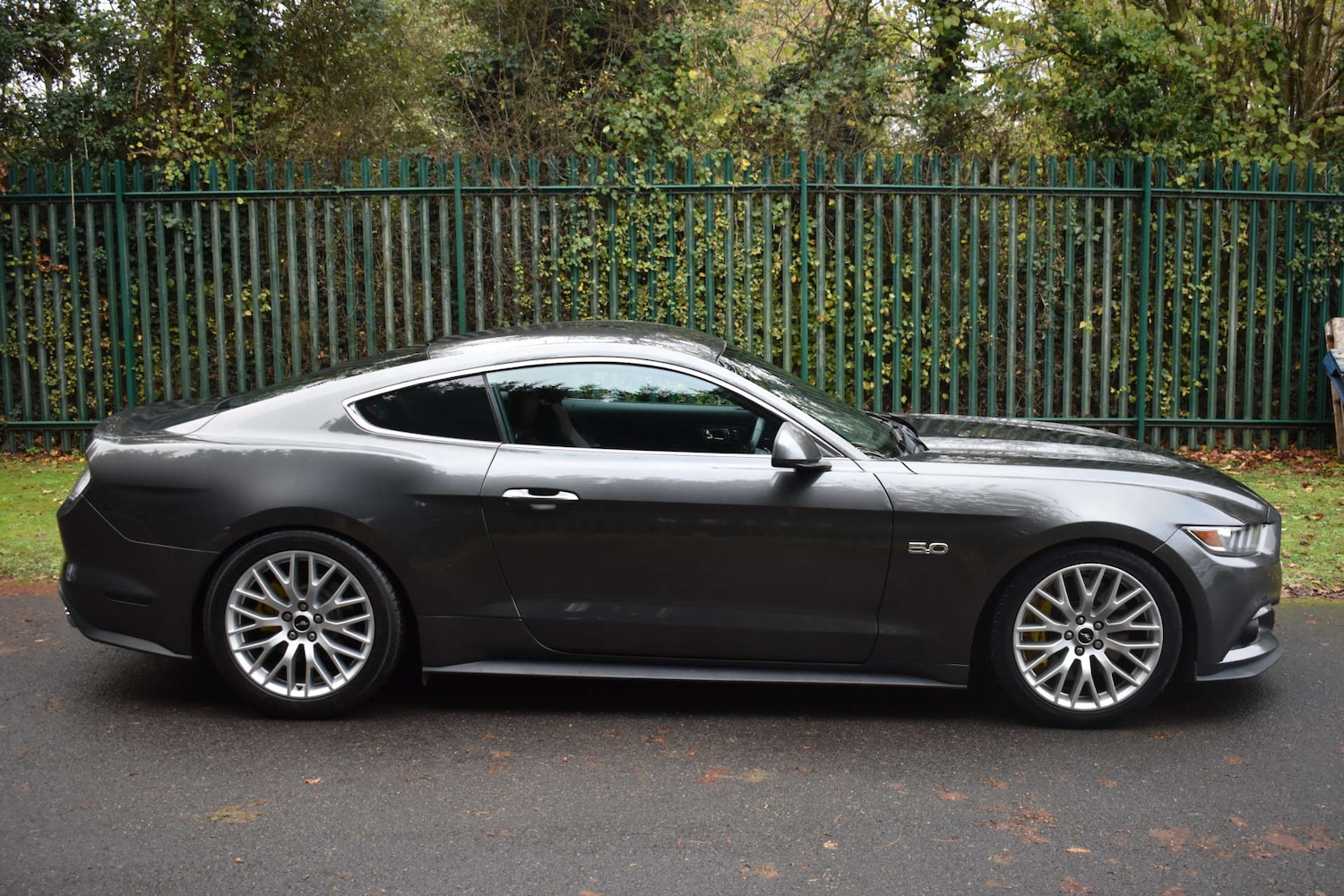 Used Ford Mustang 2015 for sale - 77037056: Photo 31