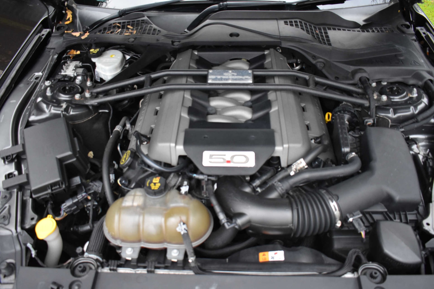 Used Ford Mustang 2015 for sale - 77037056: Photo 45