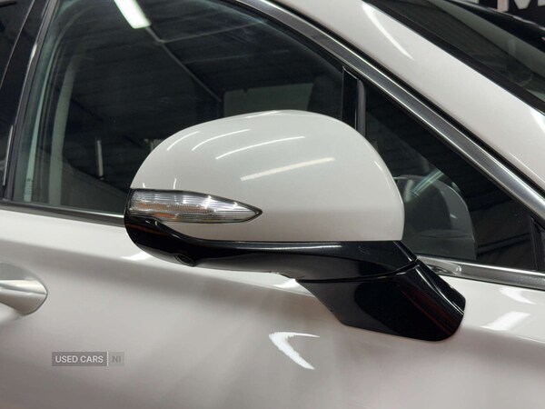 Used Hyundai Santa Fe 2019 for sale - 75810818: Photo 12