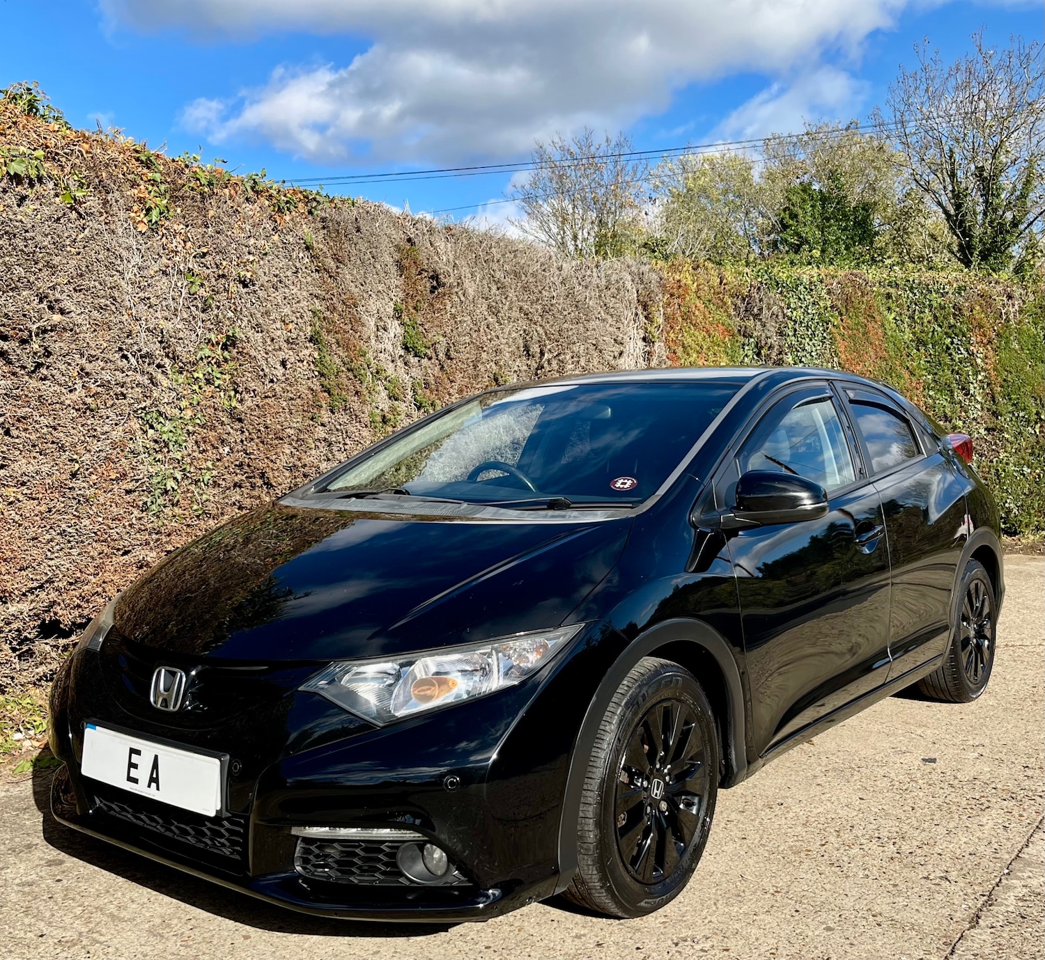 Used Honda Civic 2014 for sale - 76373998: Photo 1