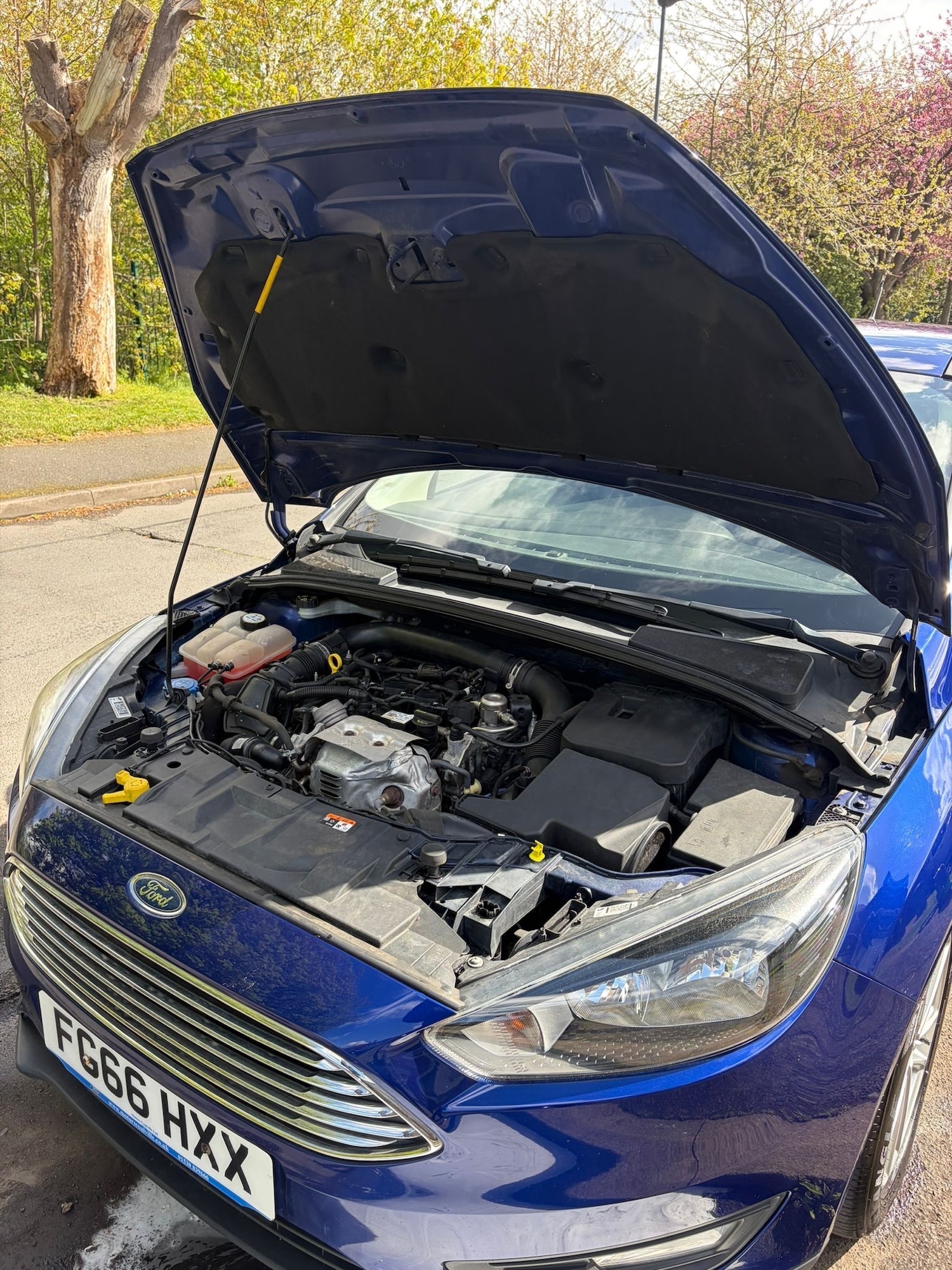 Used Ford Focus 2016 for sale - 78218265: Photo 14