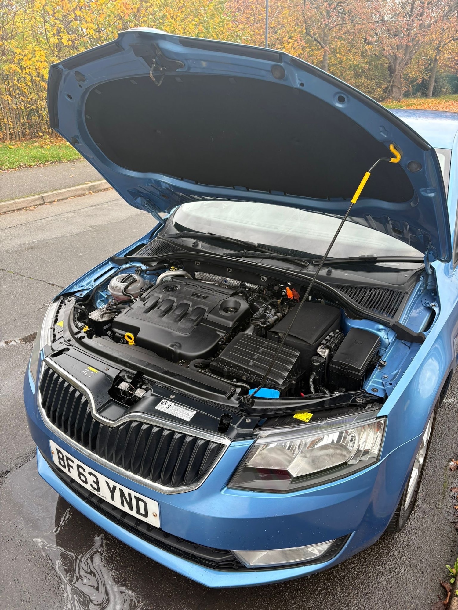 Used Skoda Octavia 2013 for sale - 76525940: Photo 13