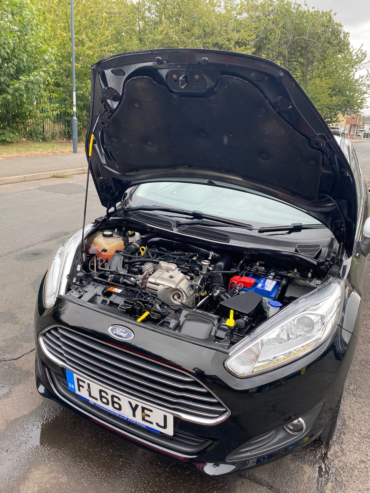 Used Ford Fiesta 2016 for sale - 75691933: Photo 12