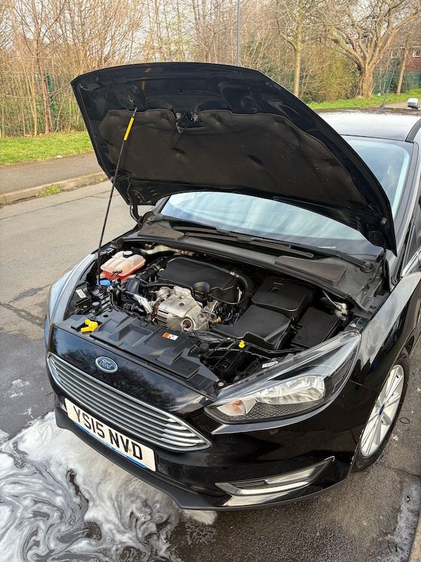 Used Ford Focus 2015 for sale - 75039597: Photo 13