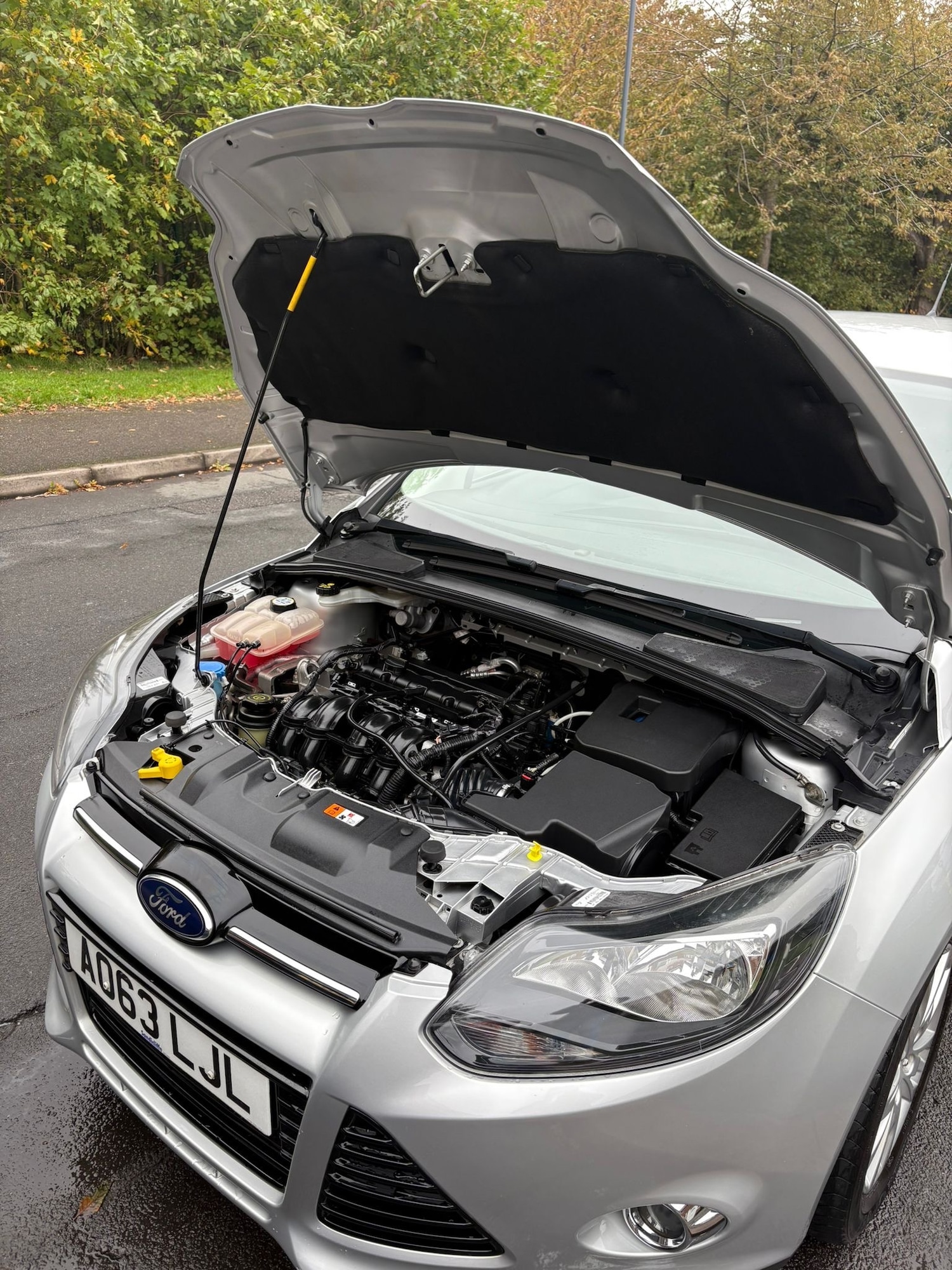 Used Ford Focus 2013 for sale - 76265731: Photo 13