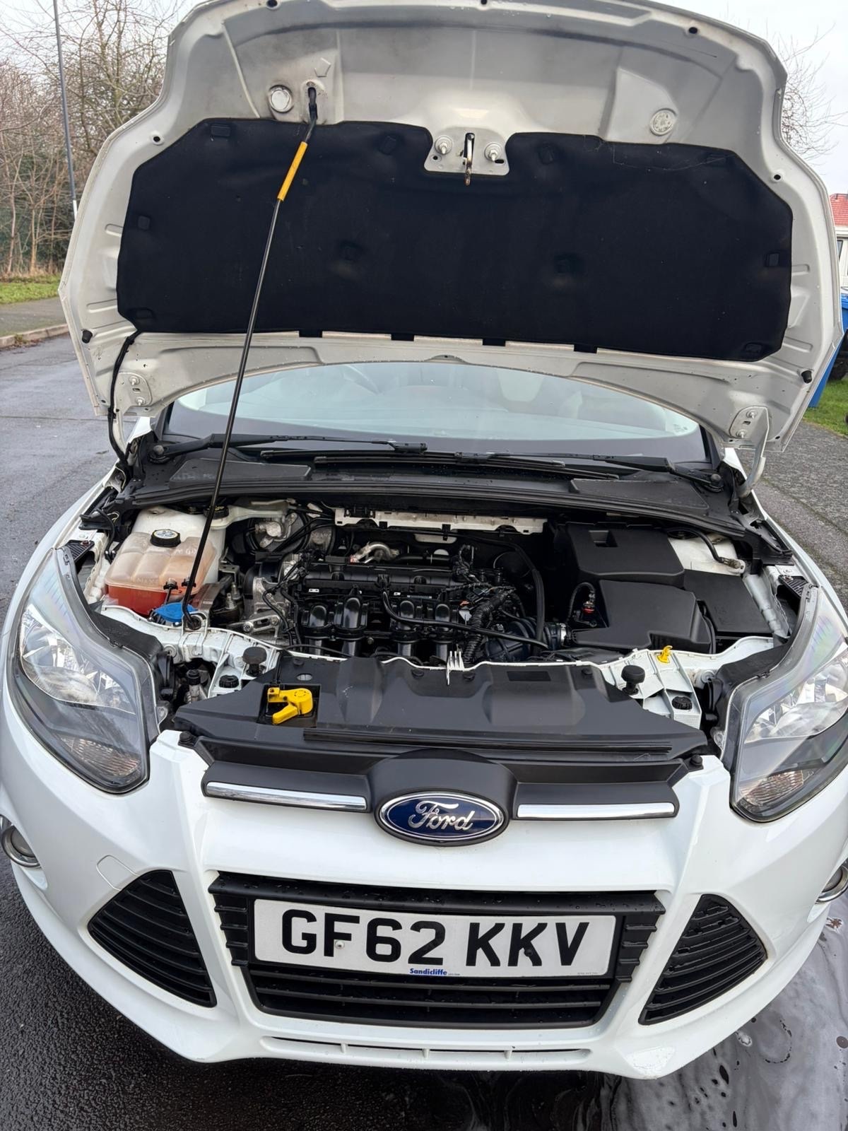 Used Ford Focus 2012 for sale - 77207239: Photo 12