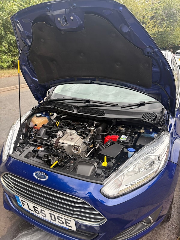 Used Ford Fiesta 2015 for sale - 75666767: Photo 11