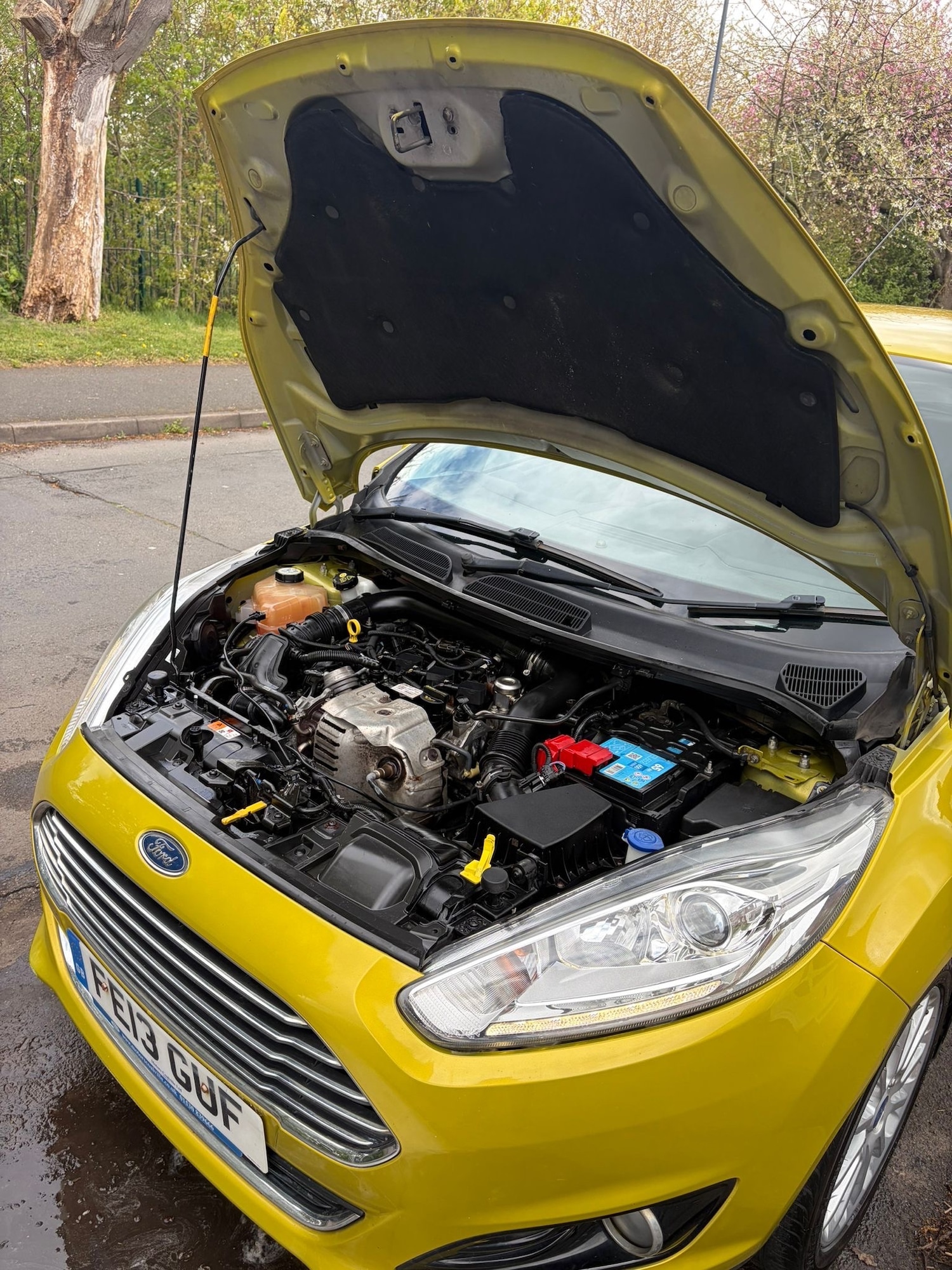 Used Ford Fiesta 2013 for sale - 78218234: Photo 12