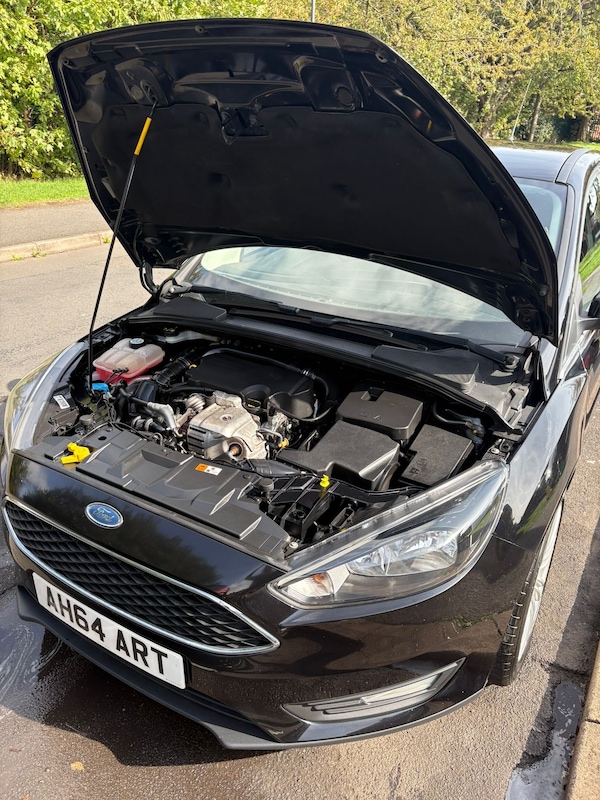 Used Ford Focus 2015 for sale - 76007017: Photo 13