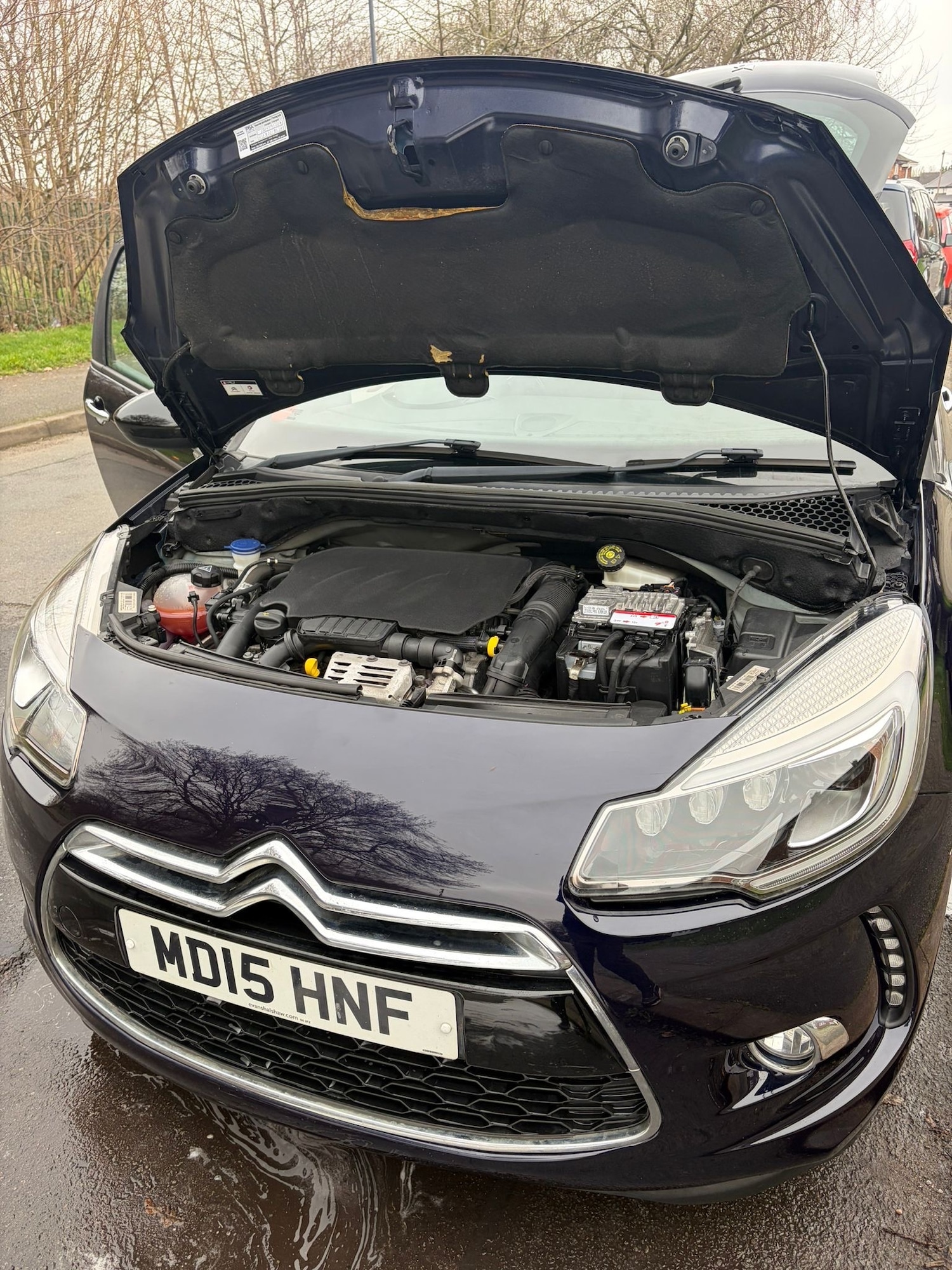 Used DS Automobiles DS 3 2015 for sale - 77797829: Photo 11