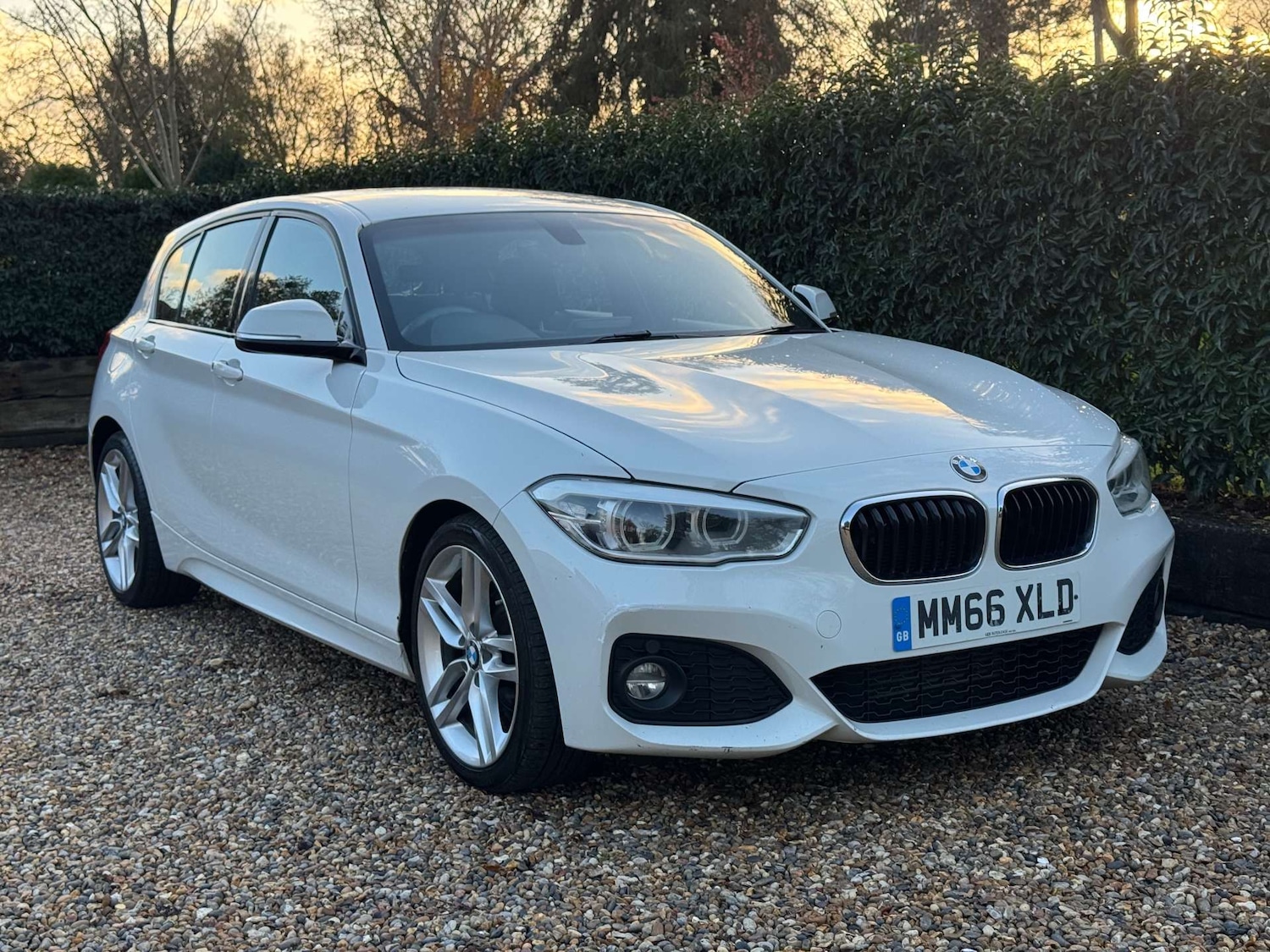 Used BMW 1 Series 2017 for sale - 76829776: Photo 1