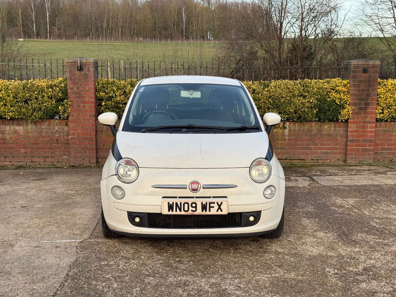 Used Fiat 500 2009 for sale - 77221014: Photo 3