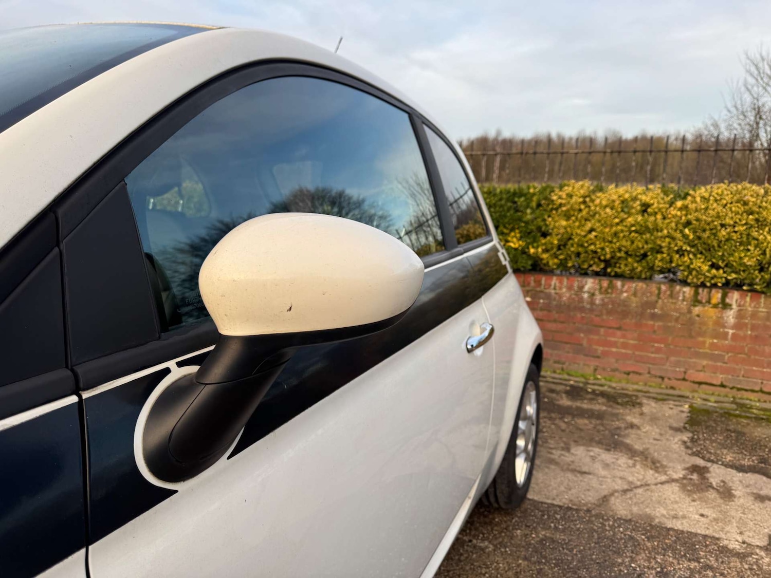 Used Fiat 500 2009 for sale - 77221014: Photo 9