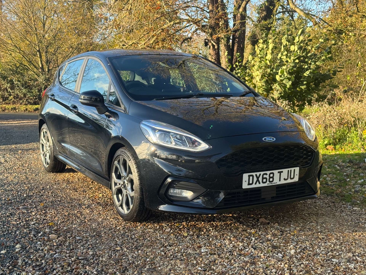 Used Ford Fiesta 2018 for sale - 76670478: Photo 1