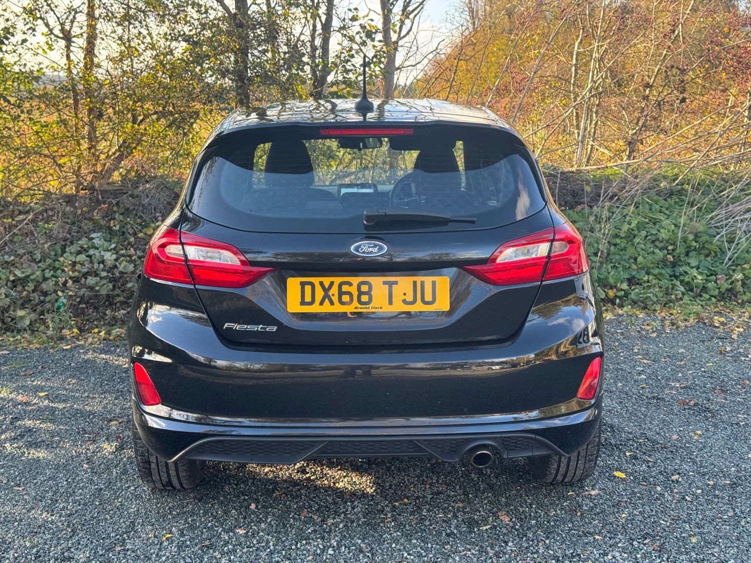 Used Ford Fiesta 2018 for sale - 76670478: Photo 10