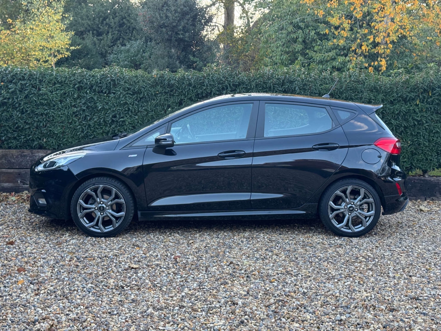 Used Ford Fiesta 2019 for sale - 77022559: Photo 3