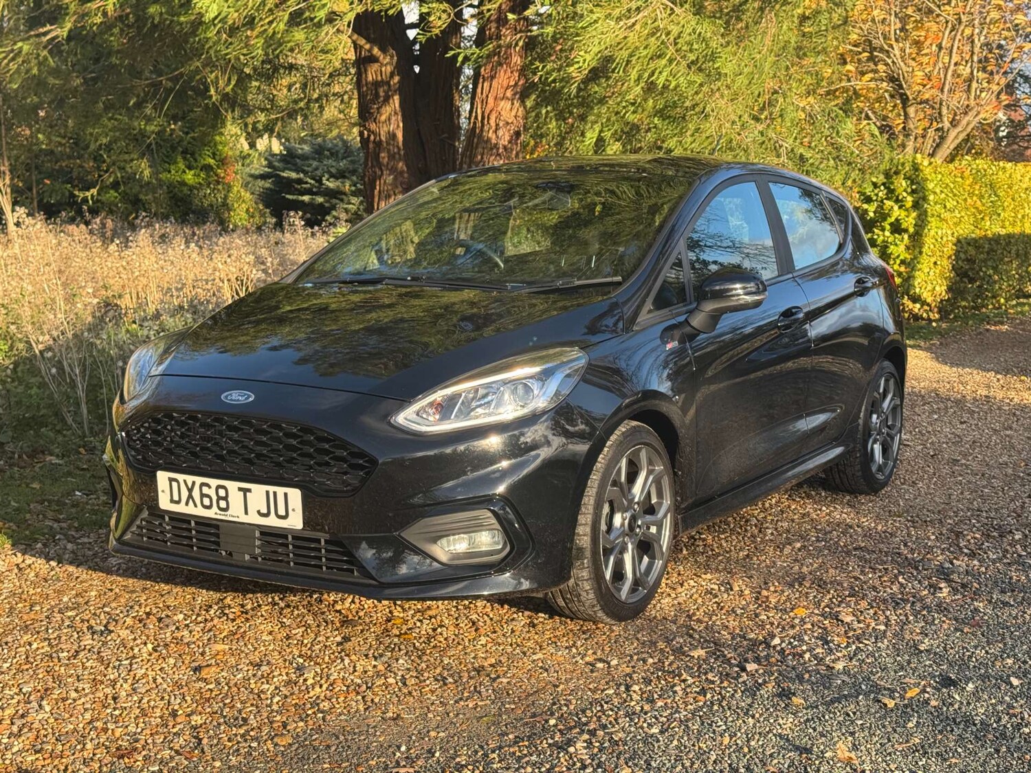 Used Ford Fiesta 2018 for sale - 76385778: Photo 5