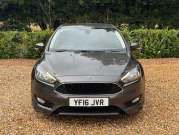 Used Ford Focus 2016 for sale - 75421250: Photo
