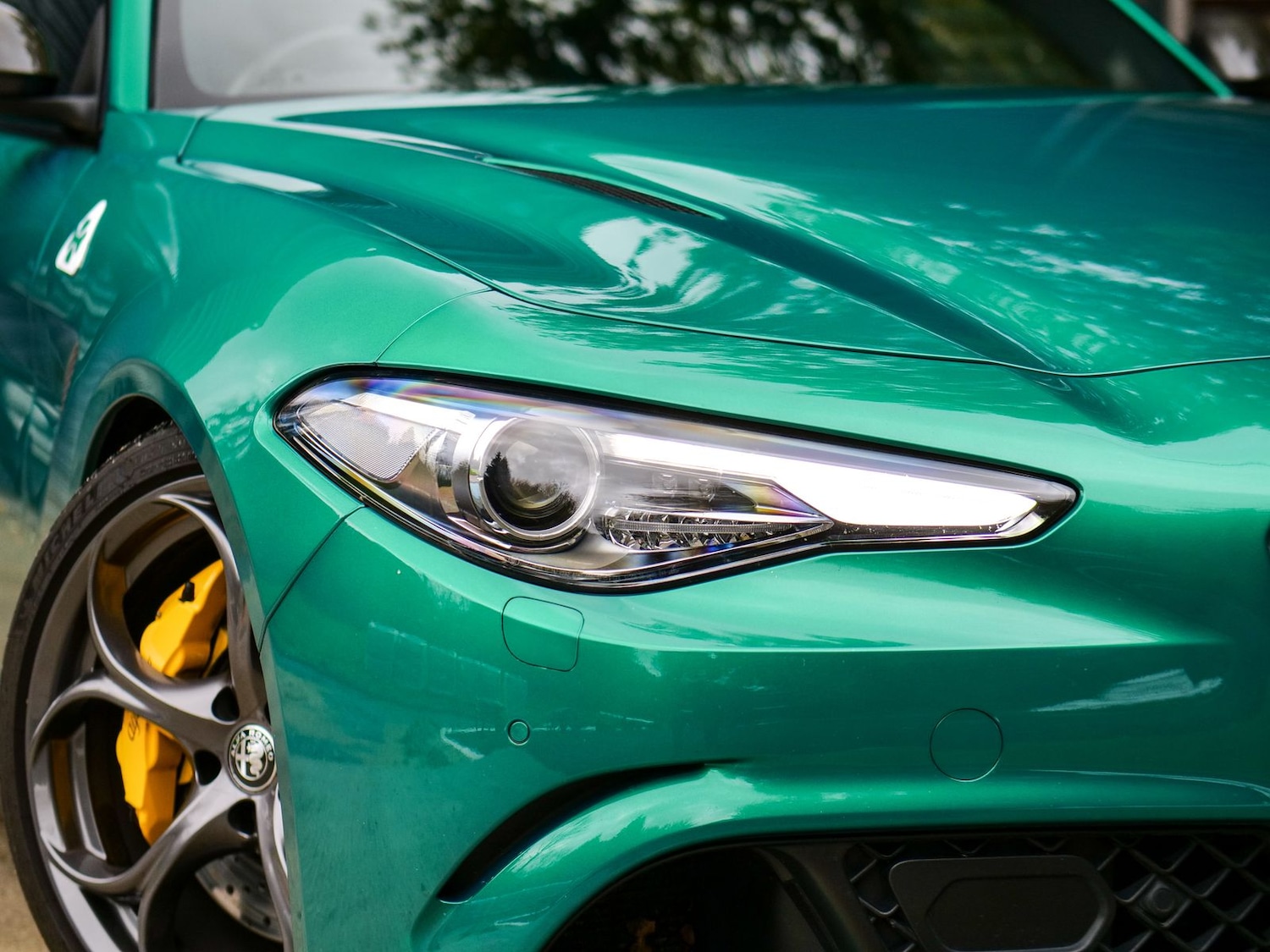 Used Alfa Romeo Giulia 2022 for sale - 76772300: Photo 34