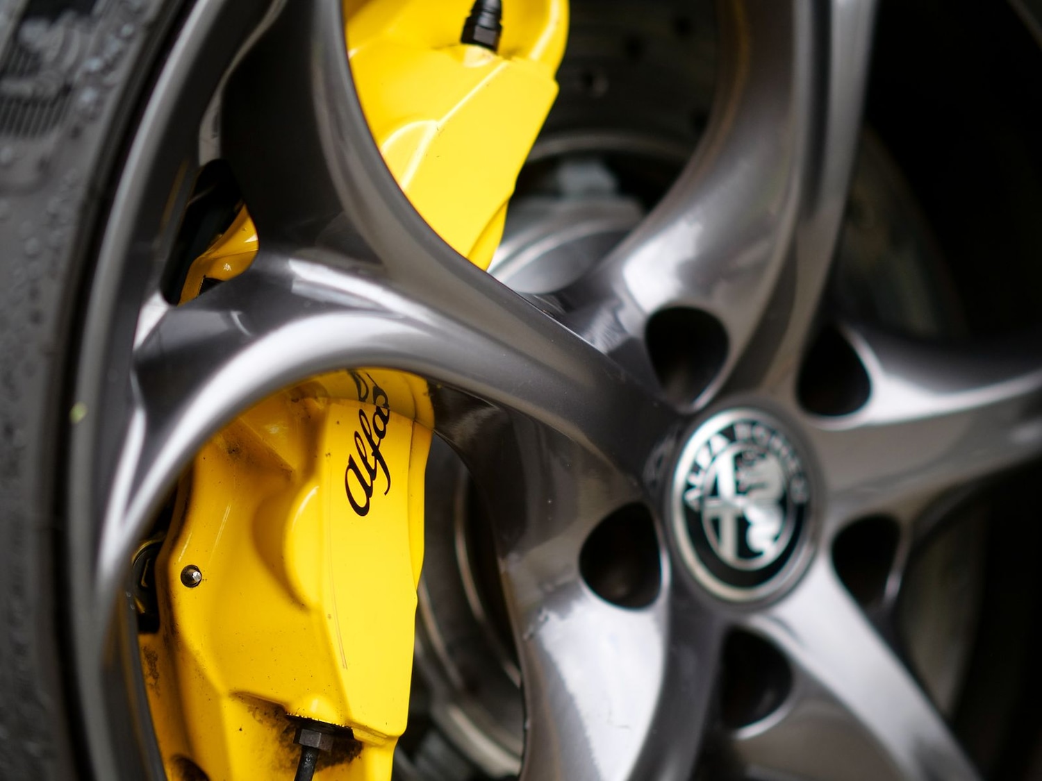 Used Alfa Romeo Giulia 2022 for sale - 76772300: Photo 52