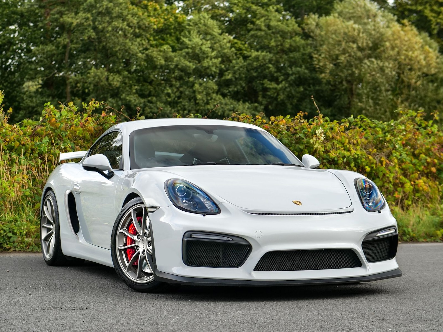 Used Porsche Cayman 2016 for sale - 76772301: Photo 1