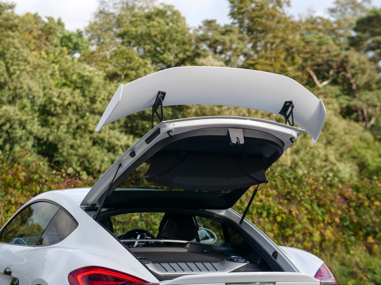 Used Porsche Cayman 2016 for sale - 76772301: Photo 11