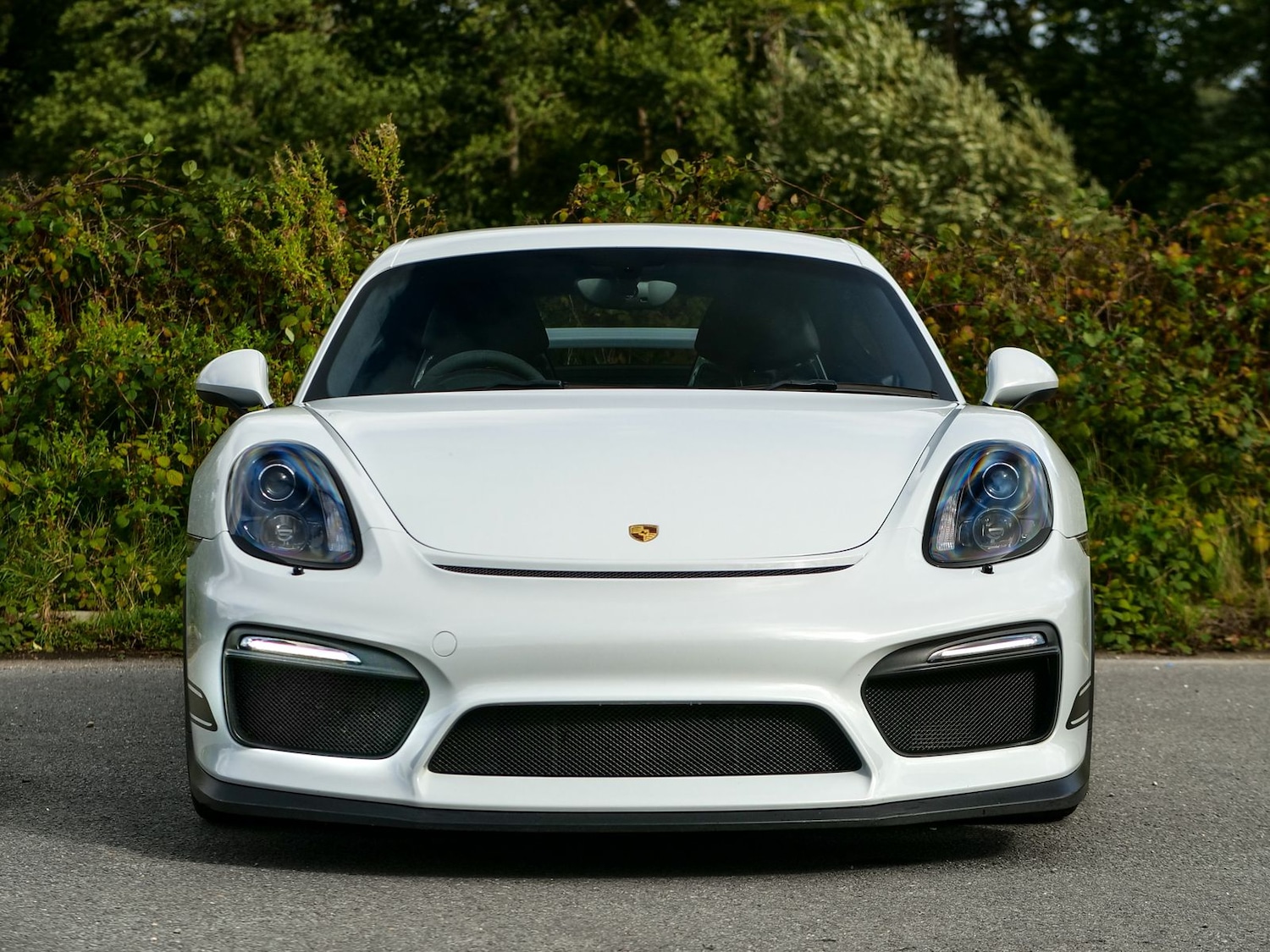 Used Porsche Cayman 2016 for sale - 76772301: Photo 3