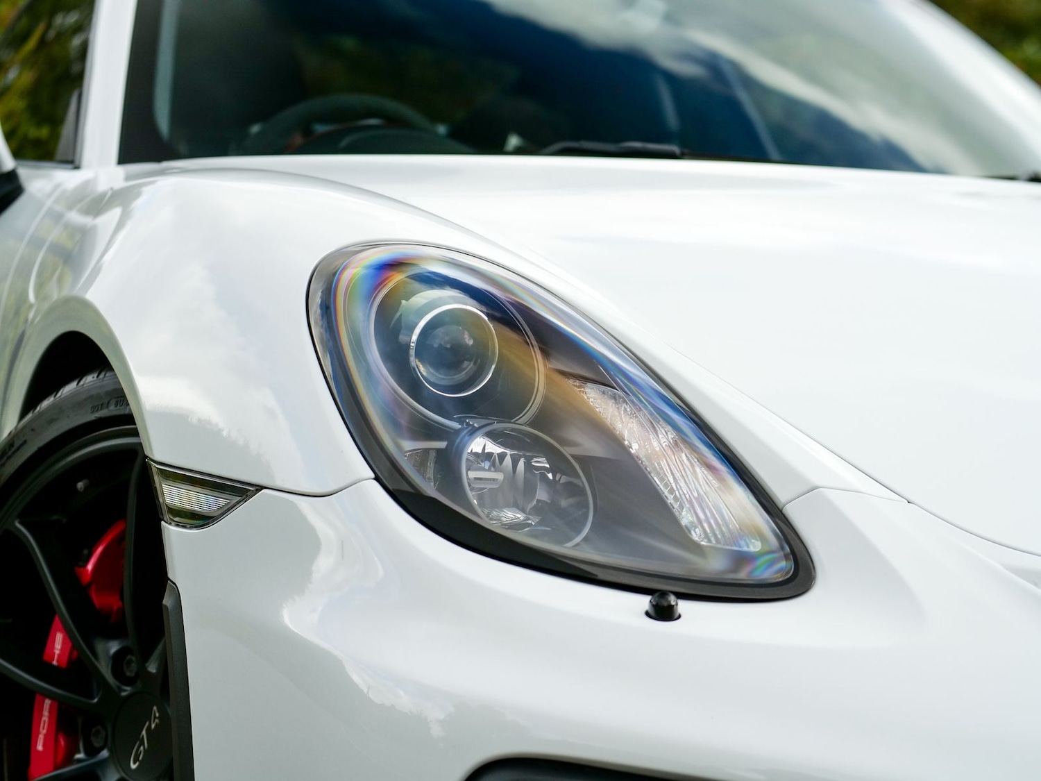 Used Porsche Cayman 2016 for sale - 76772301: Photo 31