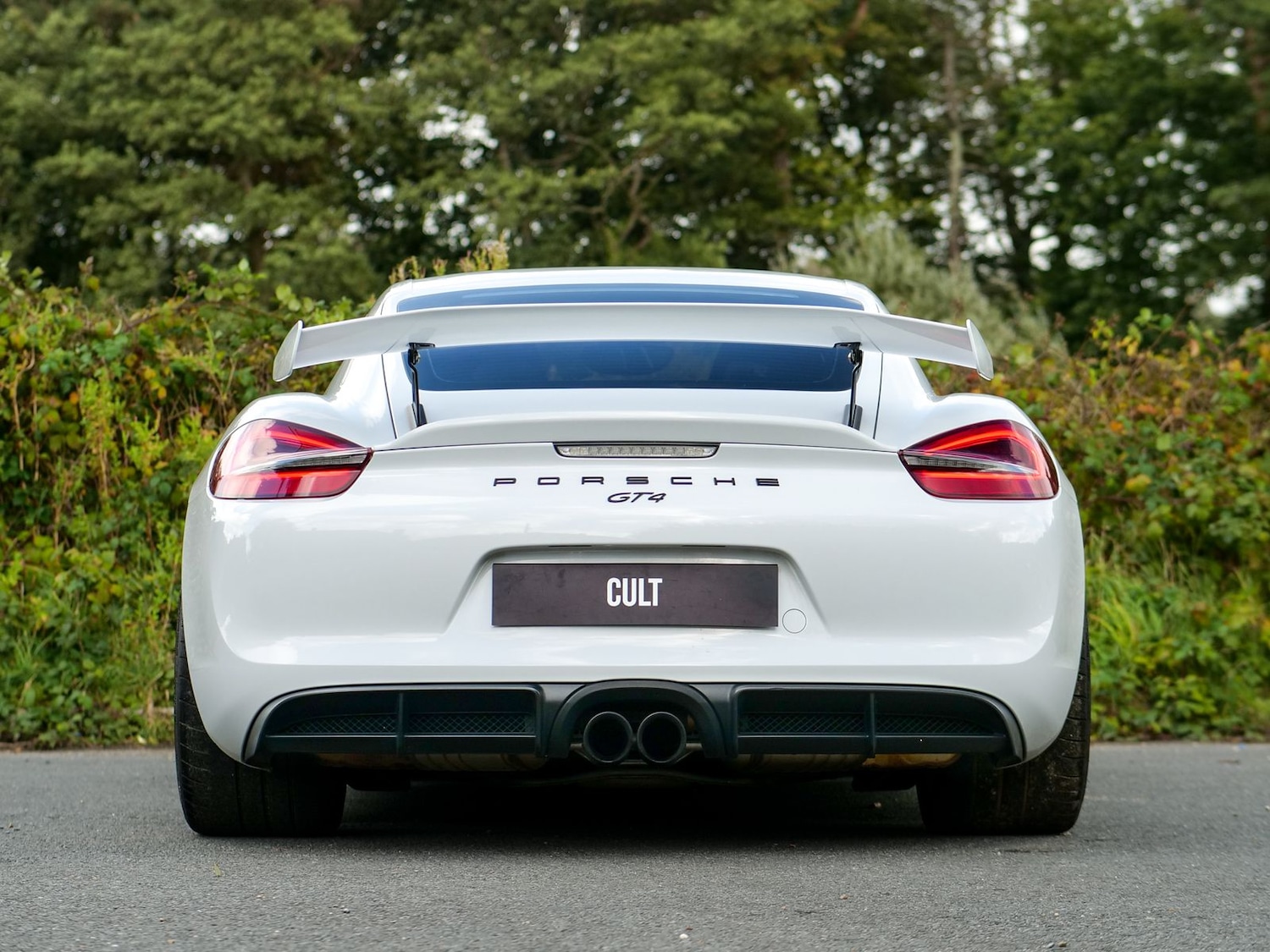 Used Porsche Cayman 2016 for sale - 76772301: Photo 5