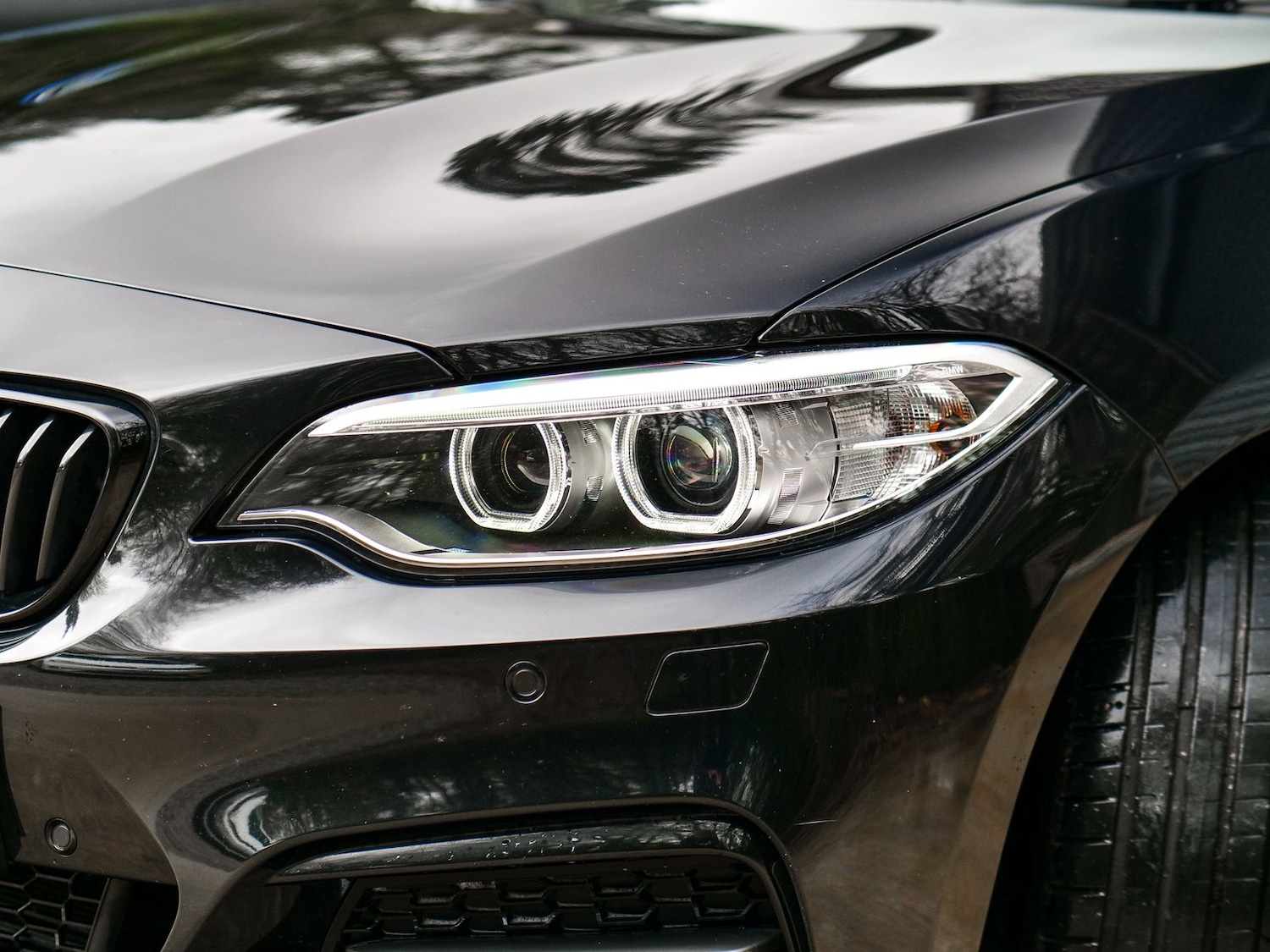 Used BMW 2 Series 2017 for sale - 77318849: Photo 32