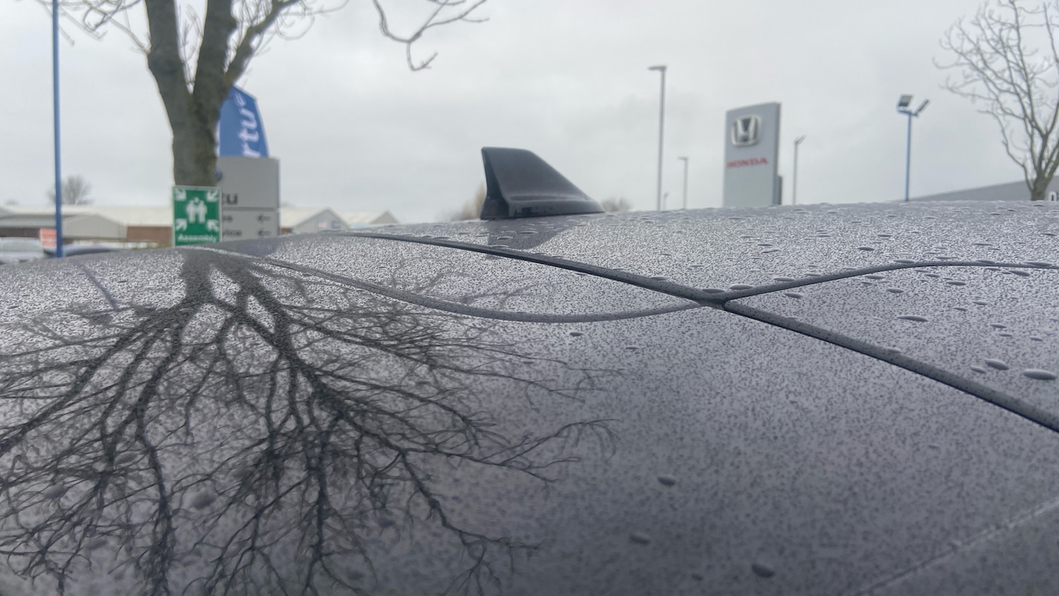 Used Ford Kuga 2023 for sale - 77046172: Photo 41