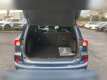 Used Ford Kuga 2023 for sale - 76681609: Photo