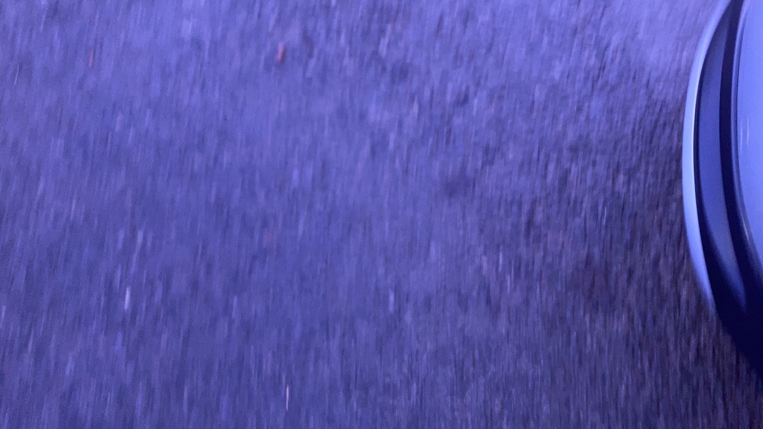 Used Ford Focus 2024 for sale - 77245486: Photo 38