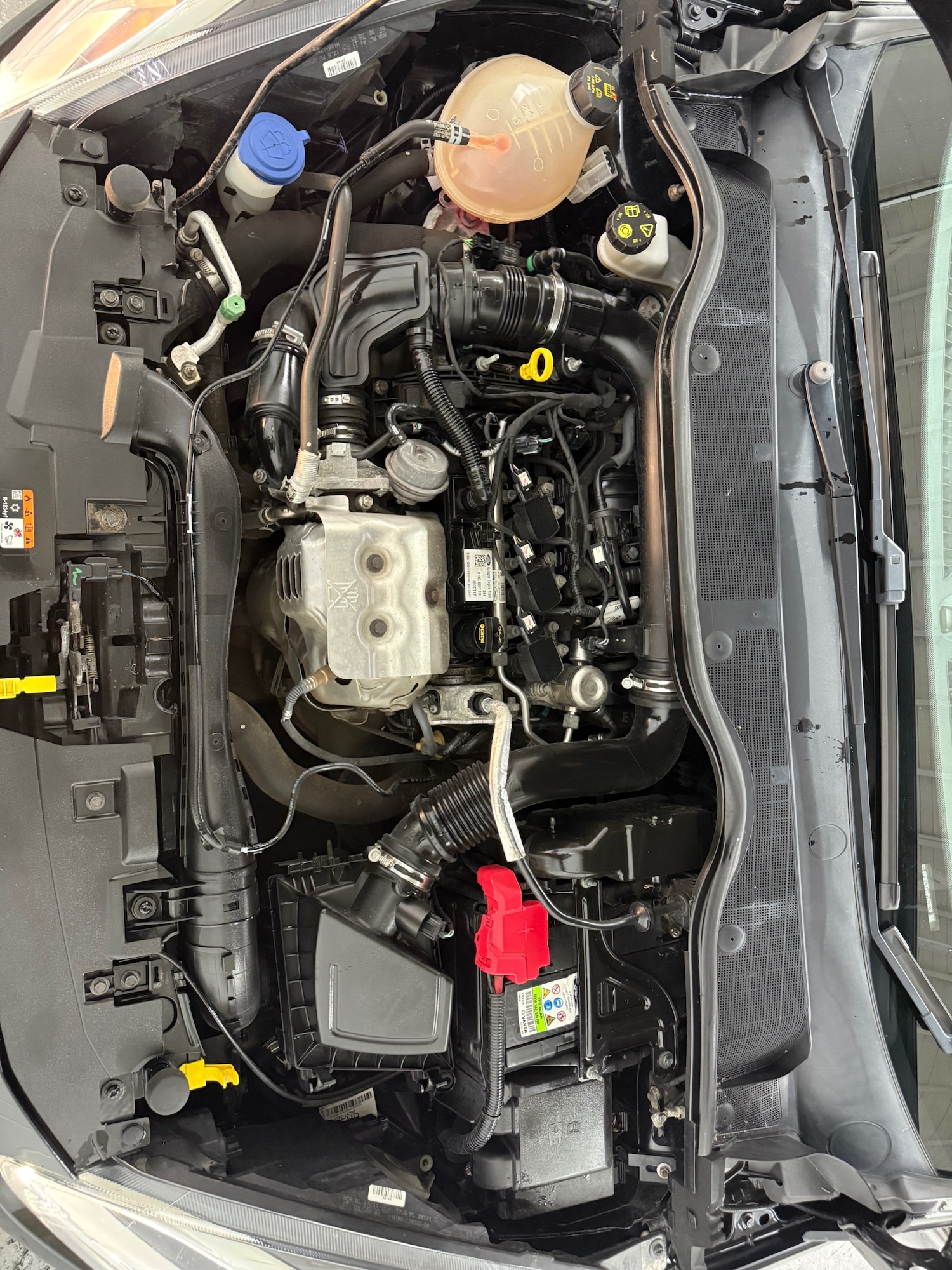 Used Ford Fiesta 2017 for sale - 77460396: Photo 32