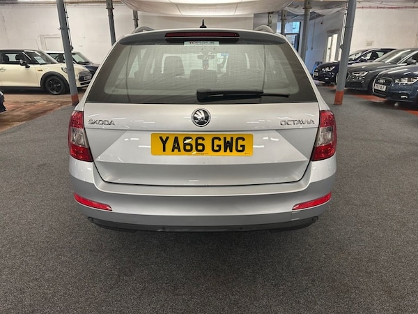 Used Skoda Octavia 2016 for sale - 76228937: Photo 15