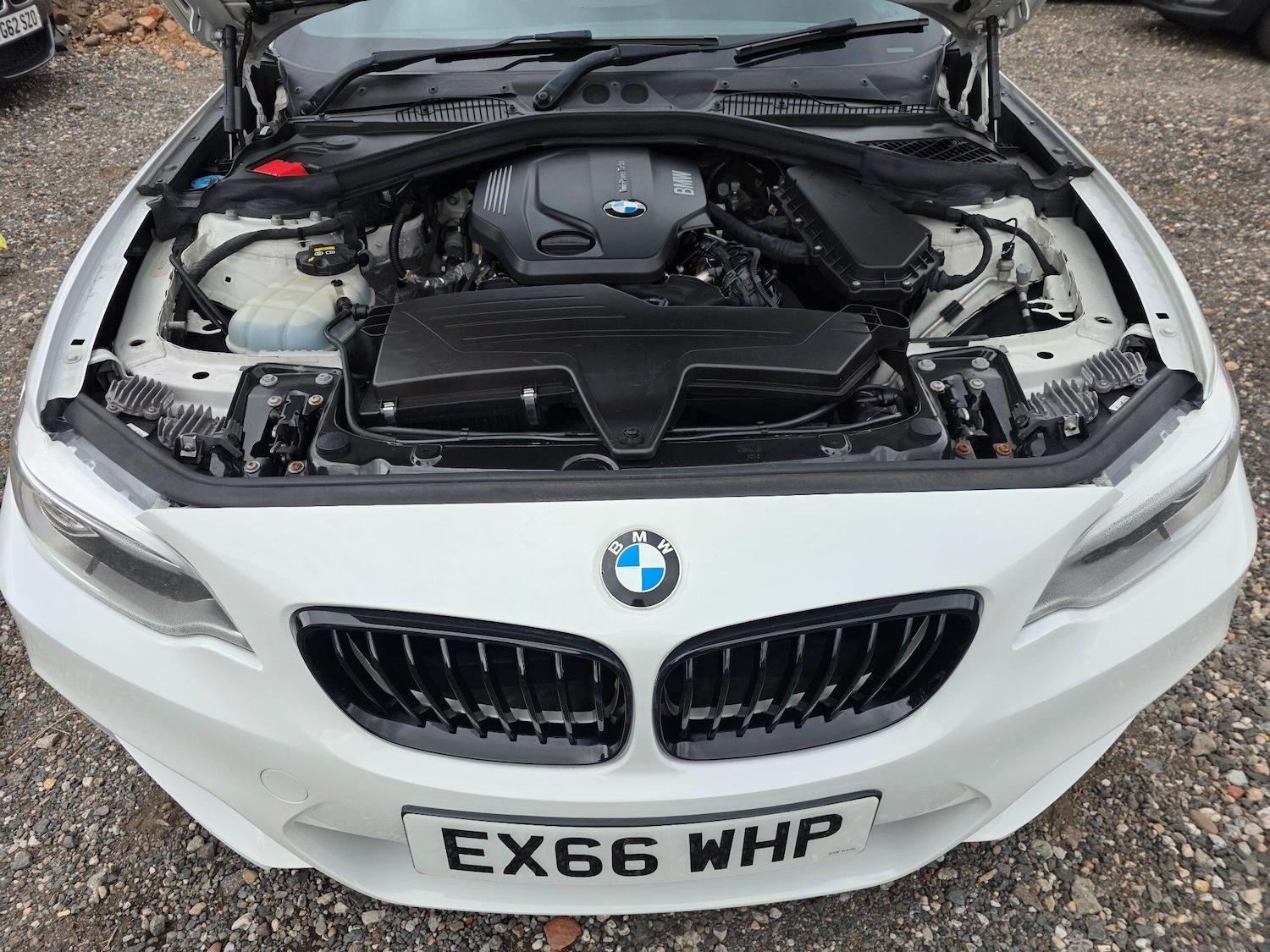 Used BMW 2 Series 2016 for sale - 76832843: Photo 41