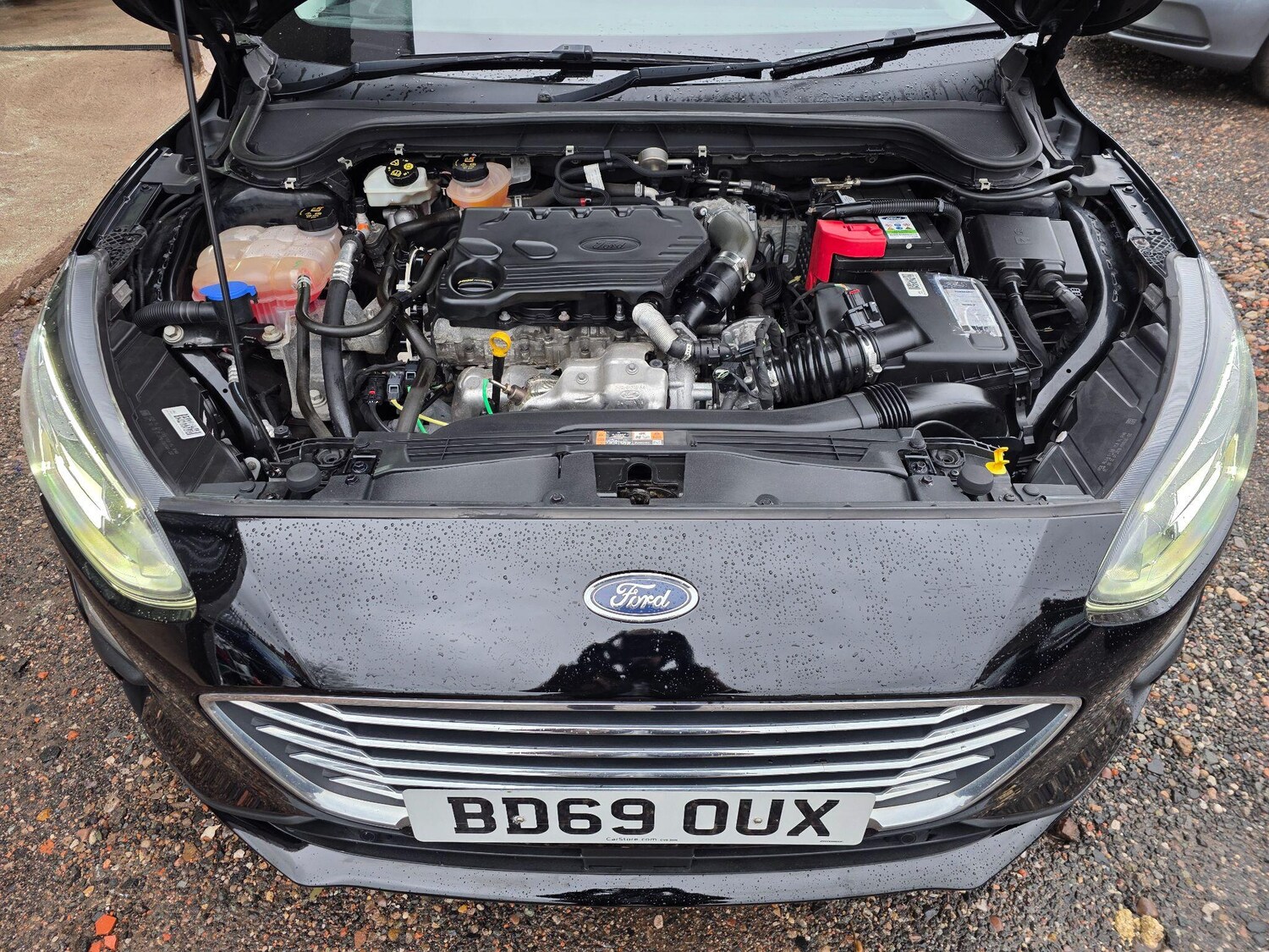 Used Ford Focus 2019 for sale - 76832115: Photo 42