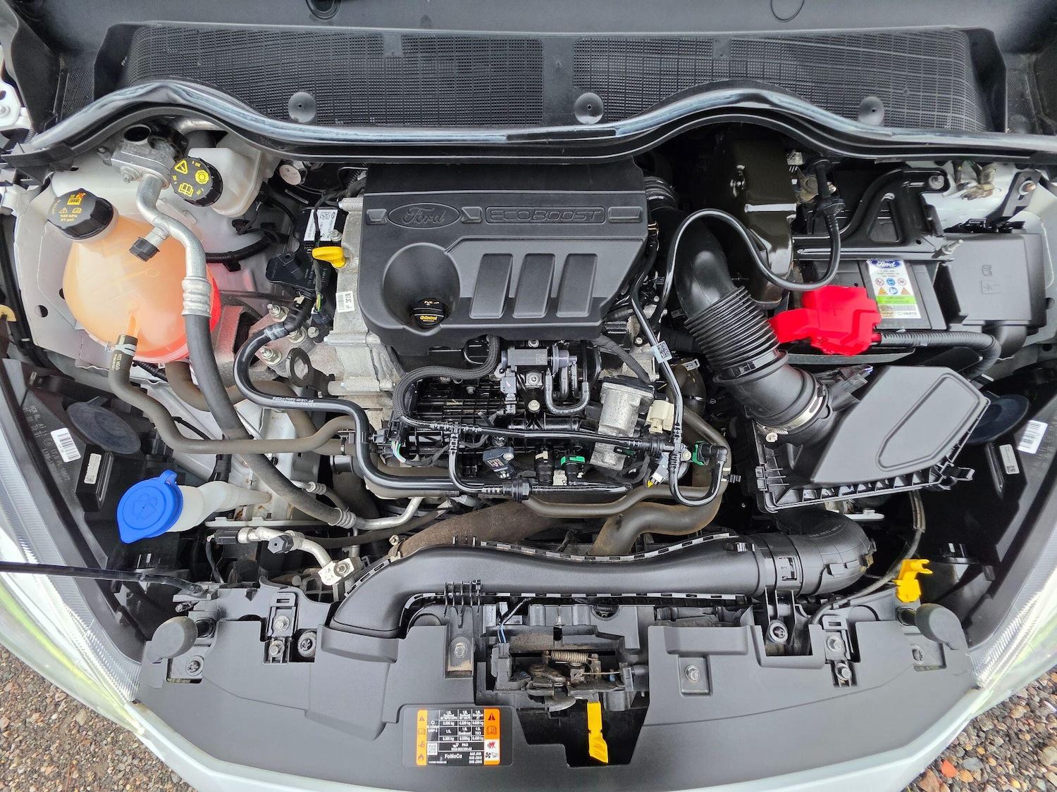 Used Ford Fiesta 2020 for sale - 76832576: Photo 46