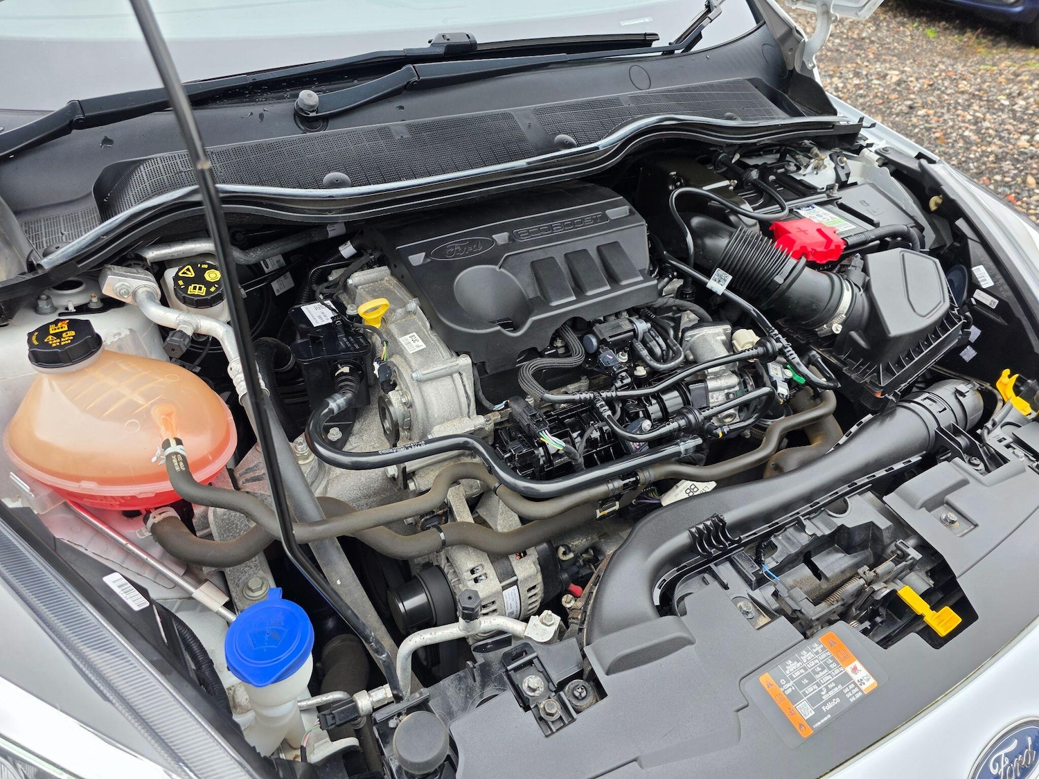 Used Ford Fiesta 2020 for sale - 76832576: Photo 47