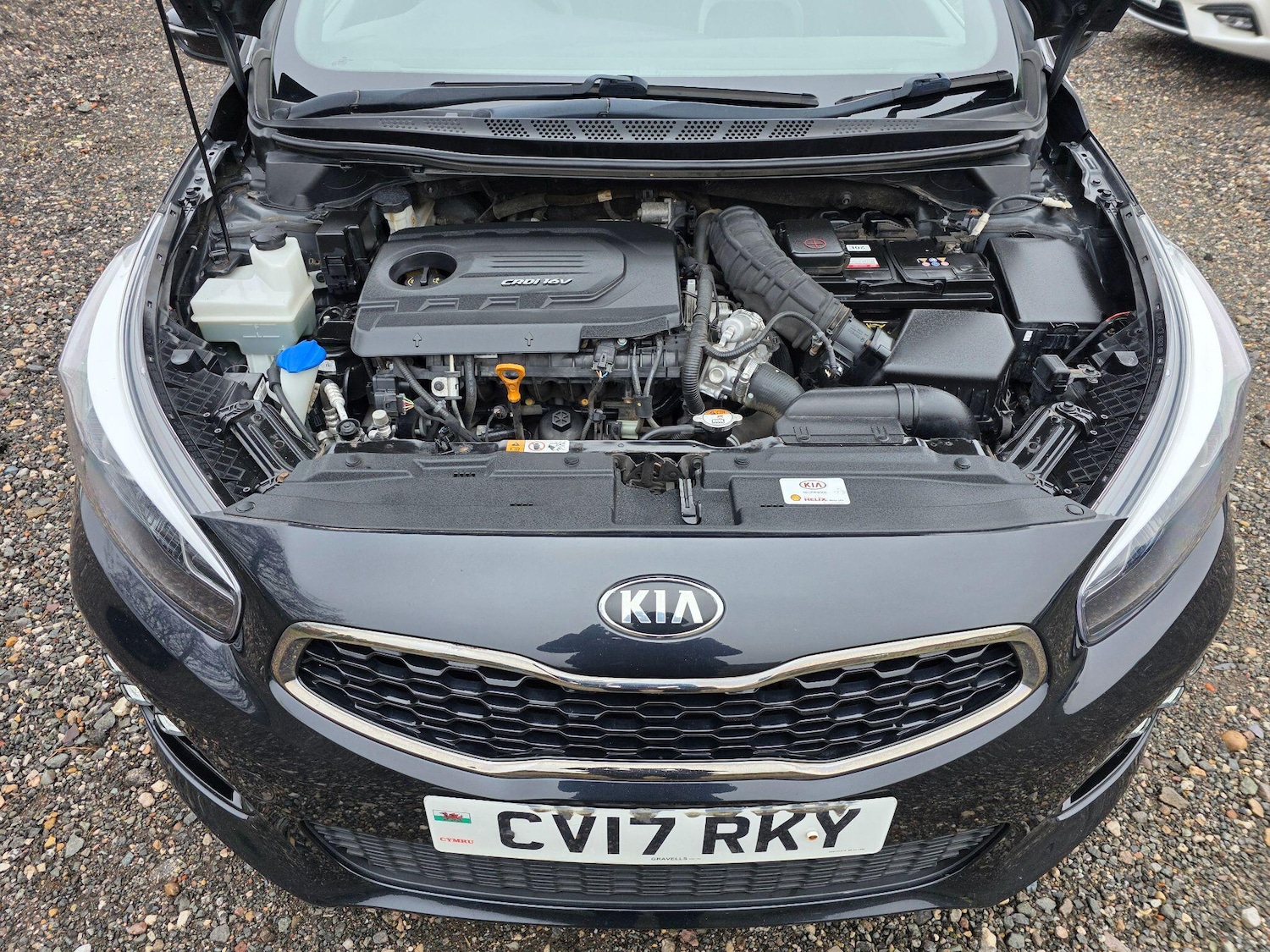 Used Kia Pro Ceed 2017 for sale - 77315471: Photo 30