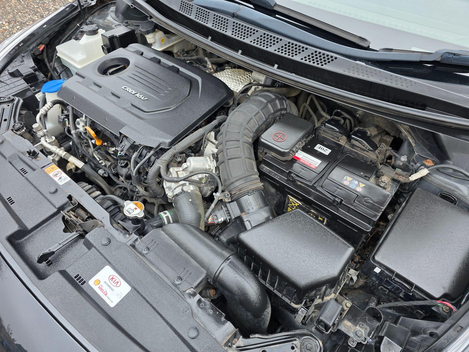 Used Kia Pro Ceed 2017 for sale - 77315471: Photo 32