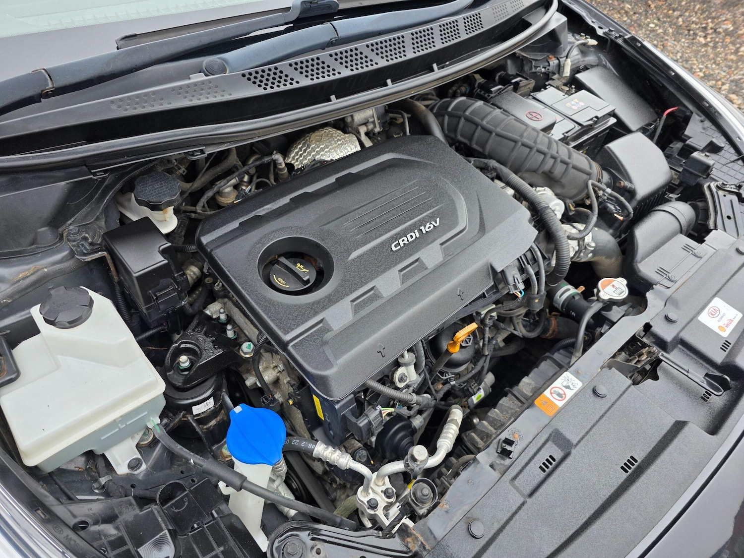 Used Kia Pro Ceed 2017 for sale - 77315471: Photo 33