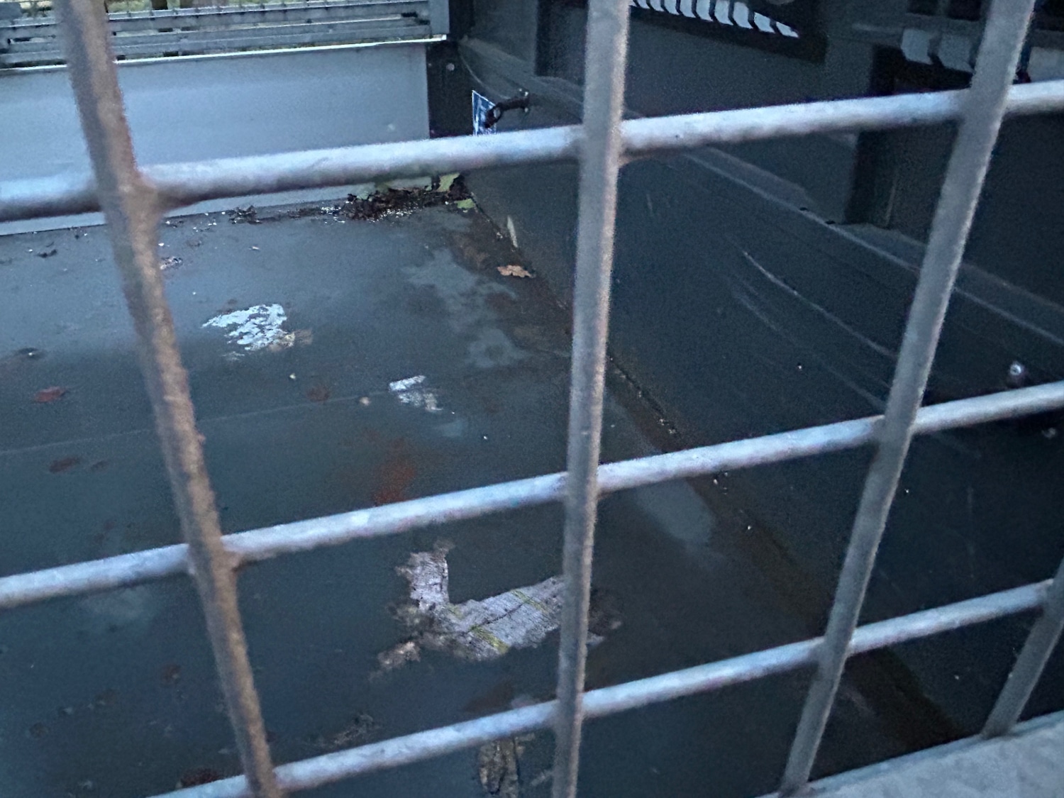 Used Vauxhall Movano 2016 for sale - 76861943: Photo 11