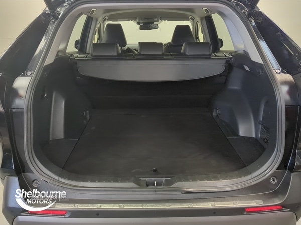 Used Toyota RAV4 2020 for sale - 76914100: Photo 21