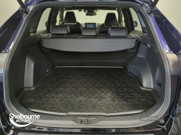 Used Toyota RAV4 2019 for sale - 76240751: Photo 17