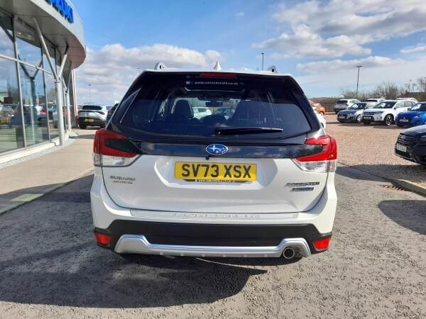 Used Subaru Forester 2023 for sale - 78122737: Photo 6