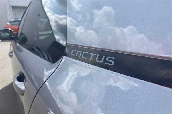 Used Citroen C4 Cactus 2019 for sale - 75711079: Photo 30