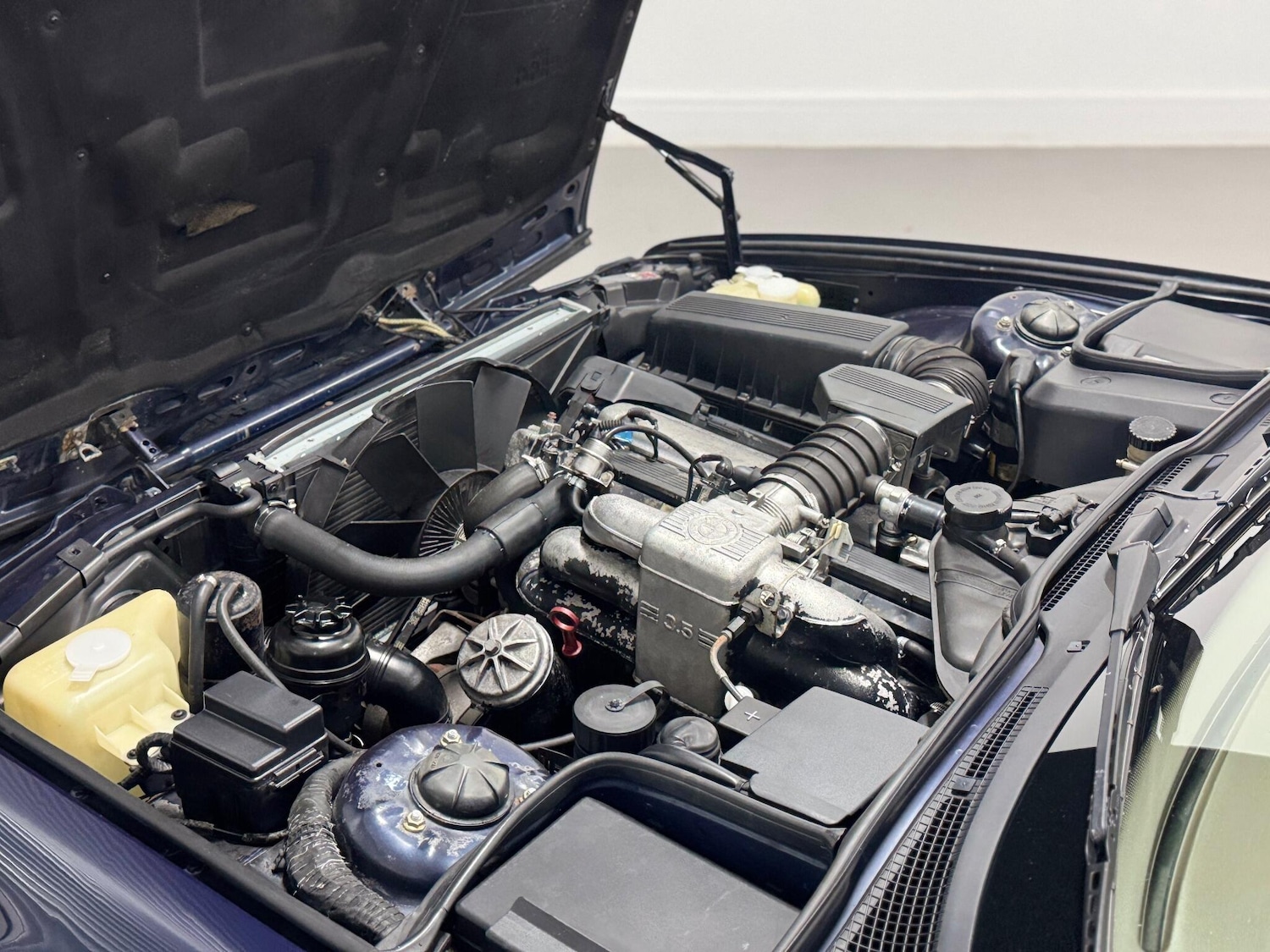 Used BMW 5 Series for sale - 76512309: Photo 78