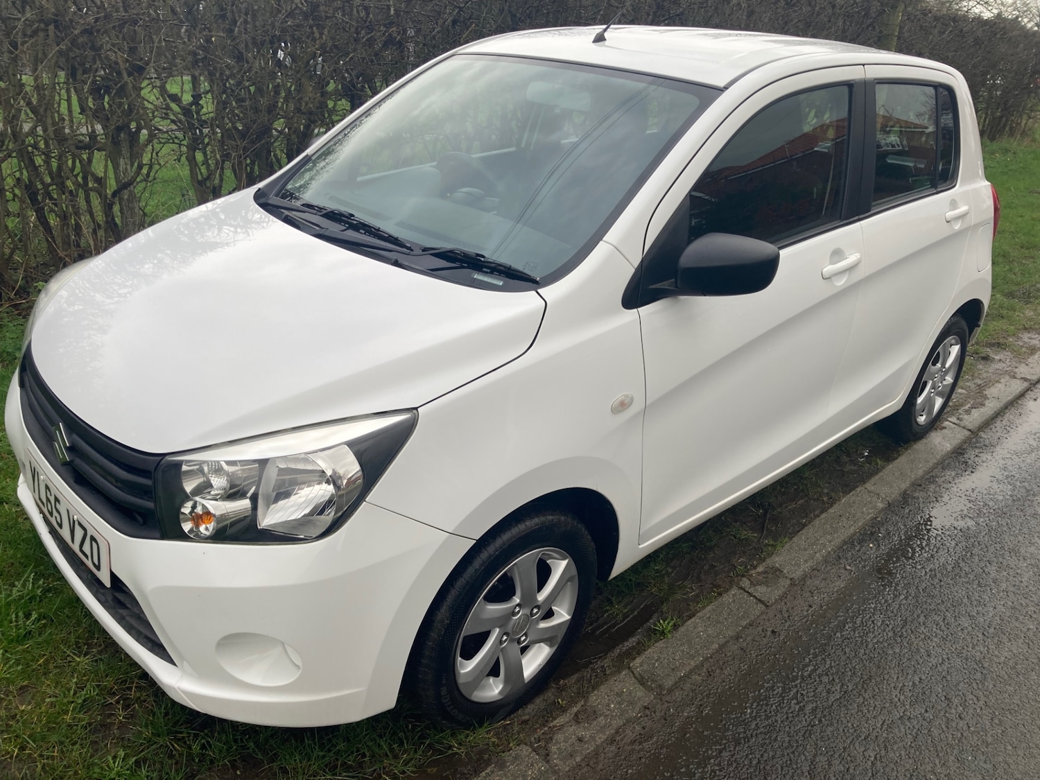 Used Suzuki Celerio 2016 for sale - 77691104: Photo 10